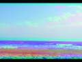 ATARAXIA (still frame from the video)